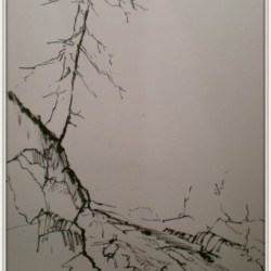 Waldweg -Tuschezeichnung / 30x40