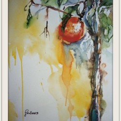 Neu_1_Orangenbaum-001